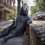 エアコン室外機のメンテナンス