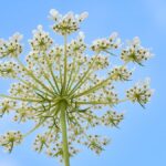 空調・エアコンのイメージ