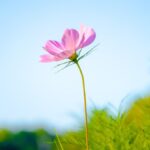 空調・エアコンのイメージ